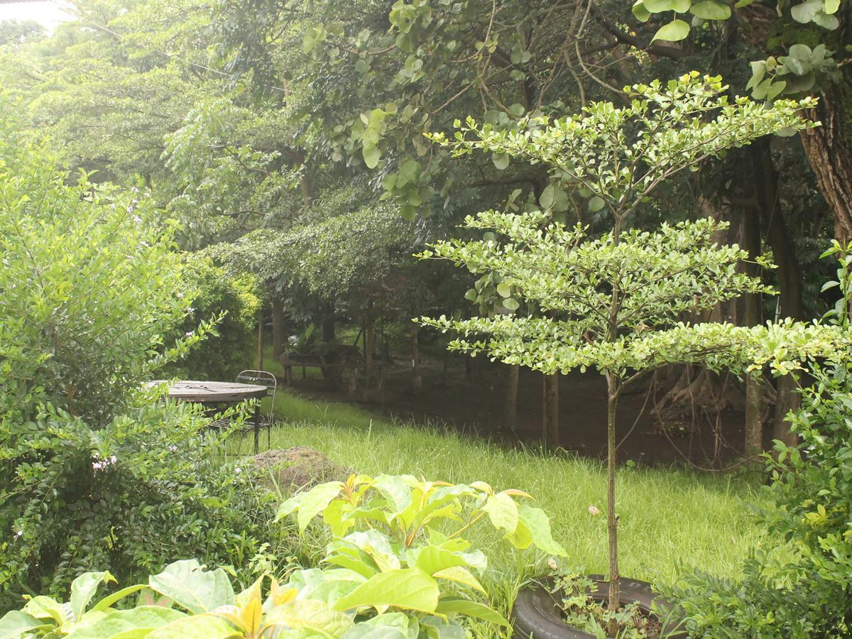 Shamba Hostel Usa River Exterior photo